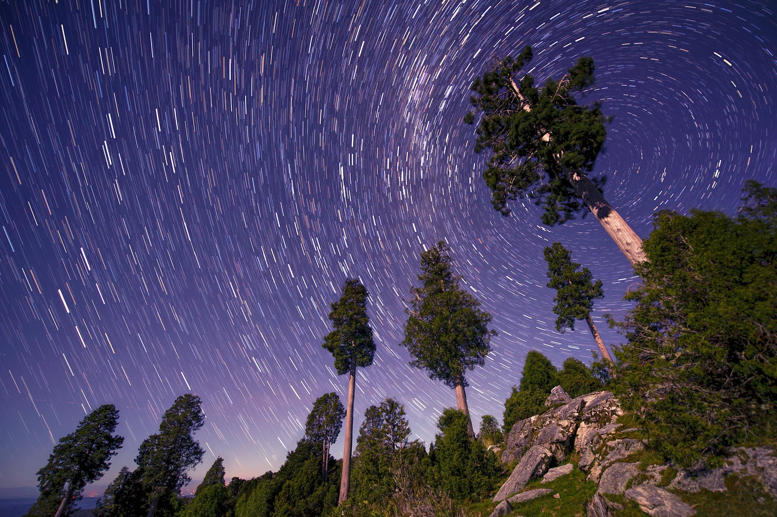 02-alerce-creditos_-nick-hall-photography.jpg