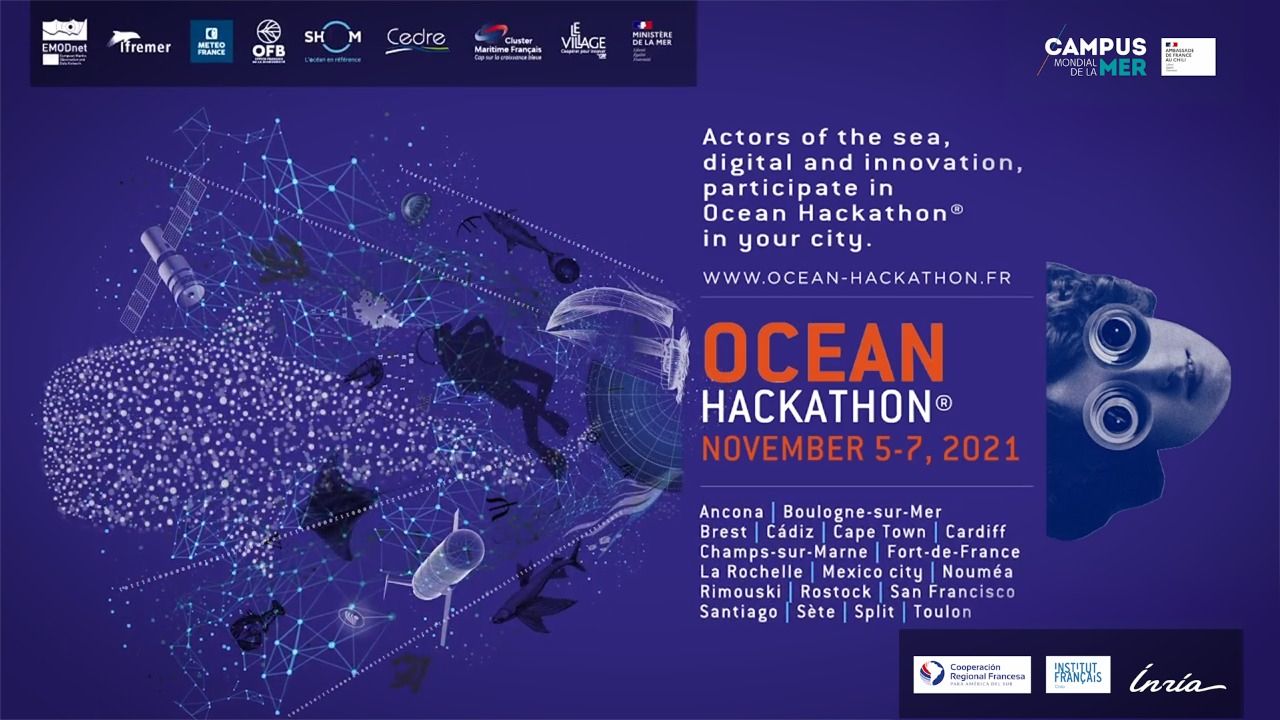 grafica-ocean-hackathon.jpg